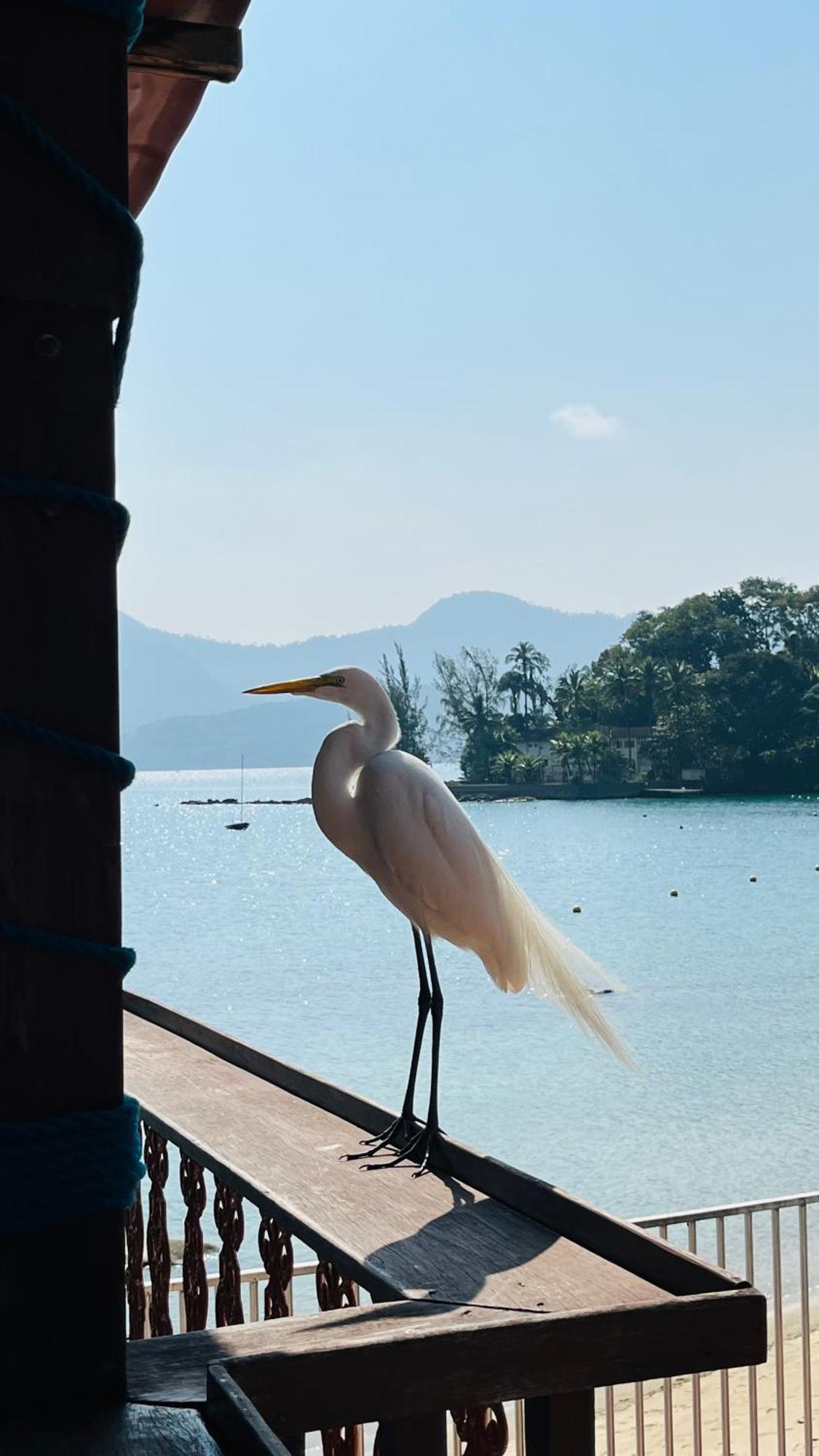 Guest House Floresta Mar Angra dos Reis Esterno foto